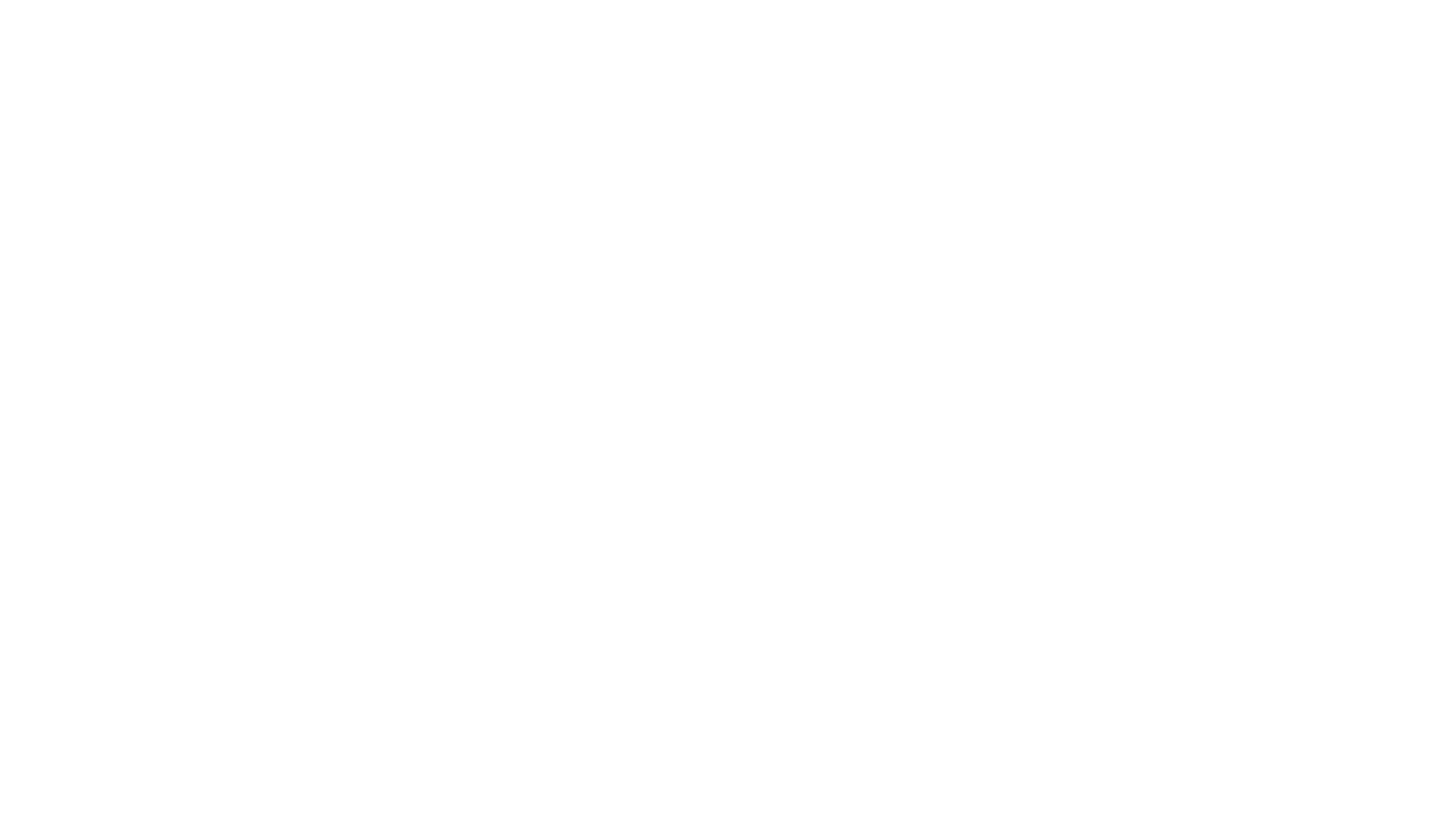 Aerolyn Logo